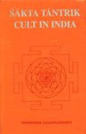 Sakta tantrik cult in India